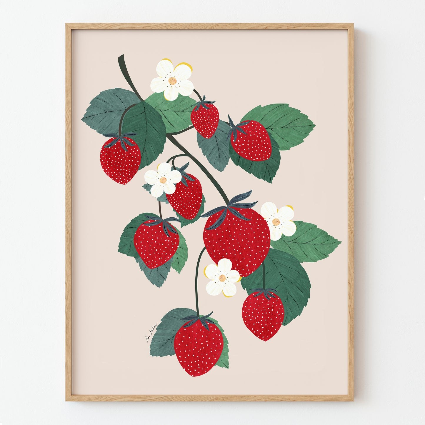 Pack ilustraciones Frutas