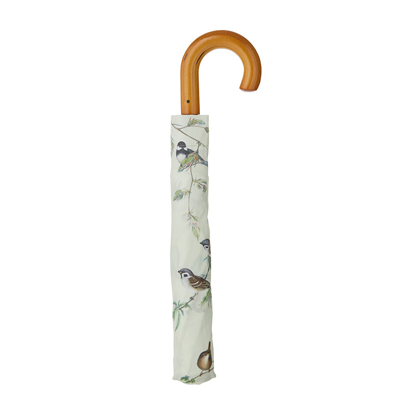 Parapluie oiseaux de jardin