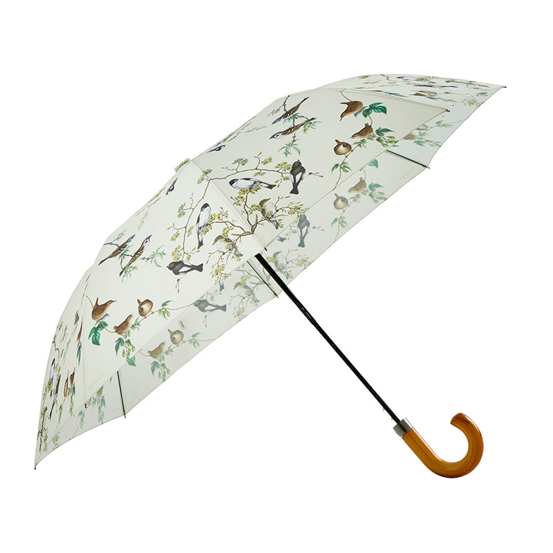 Parapluie oiseaux de jardin