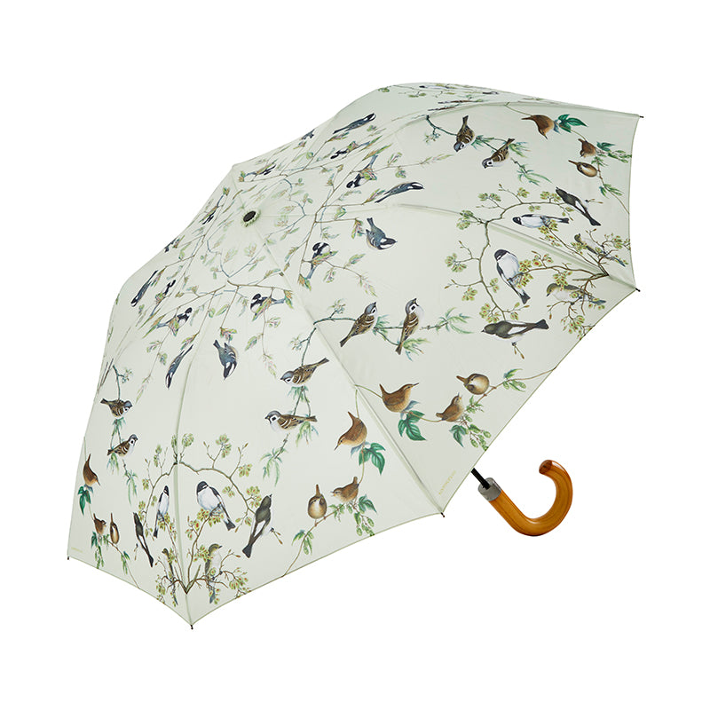 Parapluie oiseaux de jardin