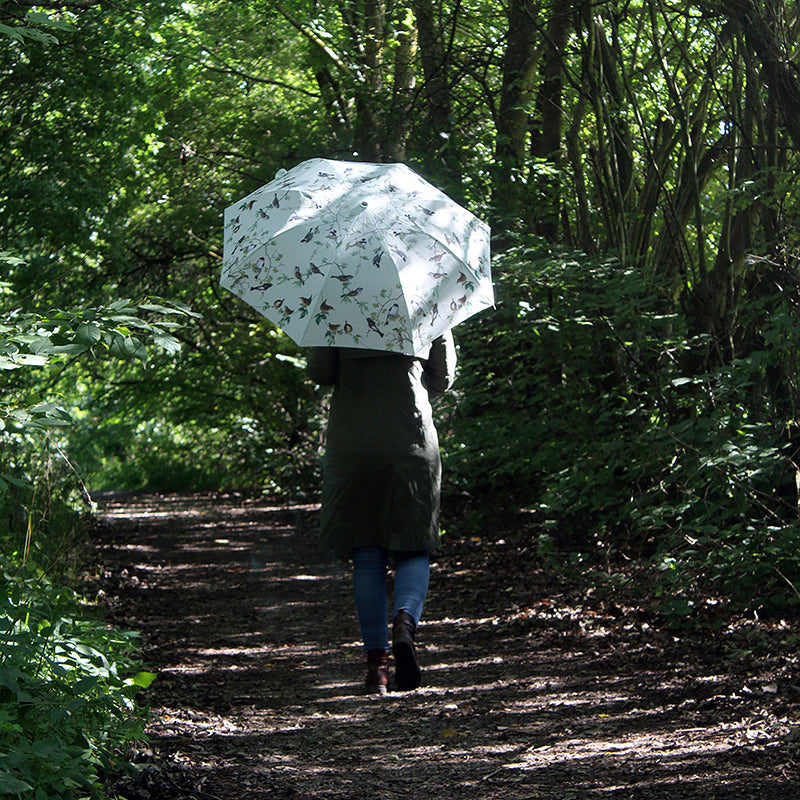 Parapluie oiseaux de jardin